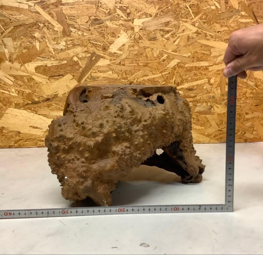 天然木オブジェ 木製インテリア 置物 重量感あり(Ｐ-88)